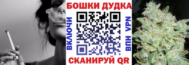 A-PVP Судогда