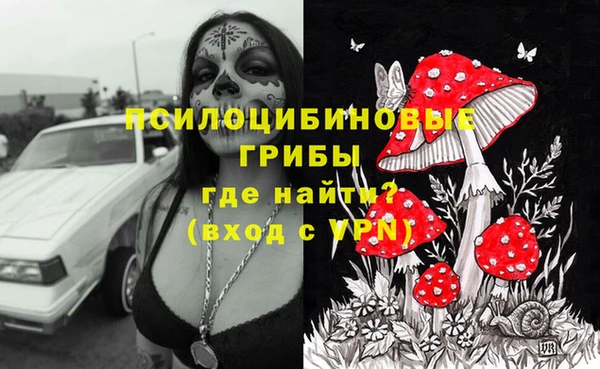 индика Вязники