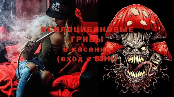 гидра Вязьма