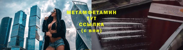 гидра Вязьма
