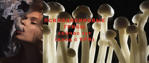 индика Вязники