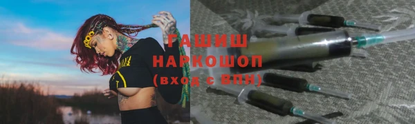 гидра Вязьма