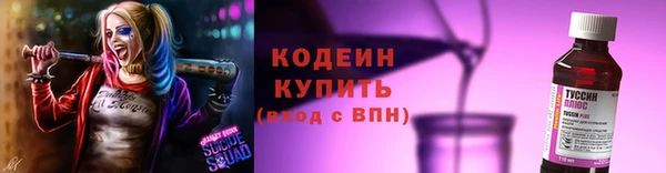 гидра Вязьма