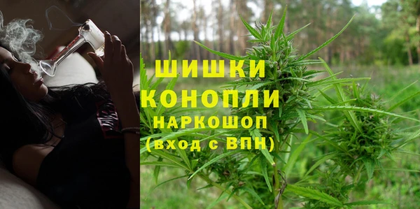 гидра Вязьма