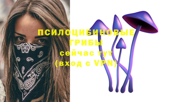 МДМА Вяземский