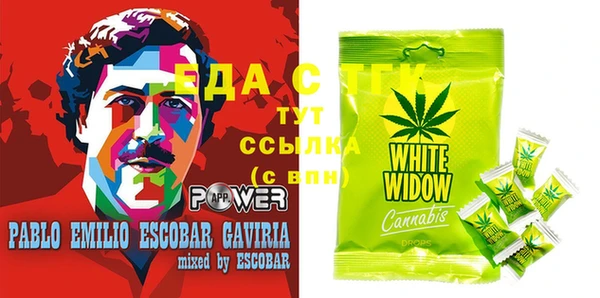 индика Вязники