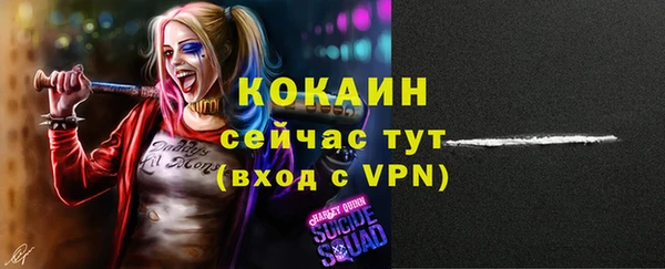индика Вязники