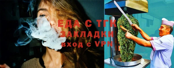 гидра Вязьма